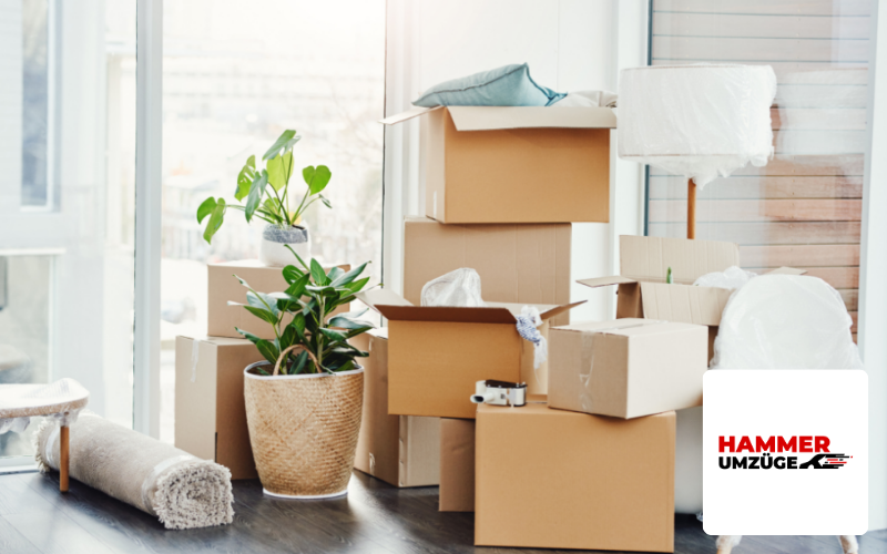 SEO Agentur Kiel Referenz Umzugsunternehmen