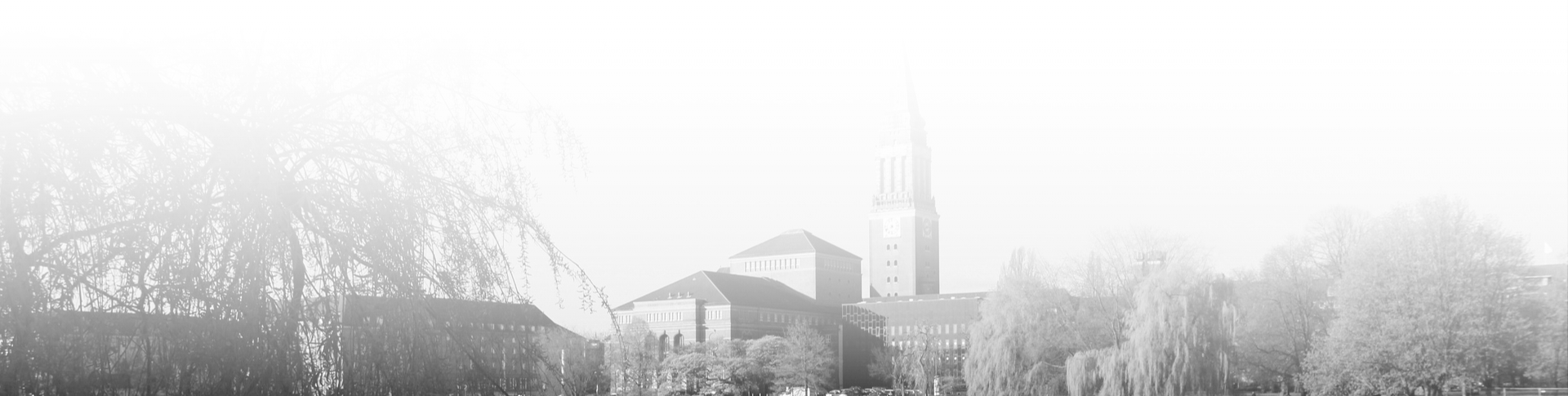 LLMO GEO Agentur Kiel Hintergrund